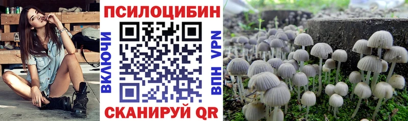 МЕГА tor продажа наркотиков Орехово-Зуево Галлюциногенные грибы мухоморы